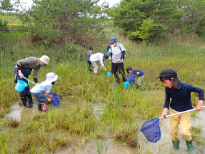 当社従業員の家族も参加した生物調査会