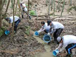 湿地を掘り下げ、ネアカヨシヤンマなどの生息環境を保全