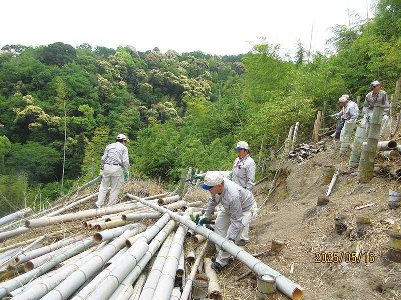 天王山の竹林整備