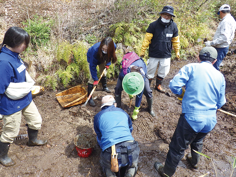 滋賀県希望が丘文化公園のハッチョウトンボ生息環境整備